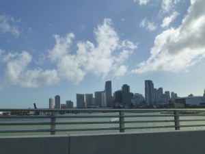 Miami_Skyline
