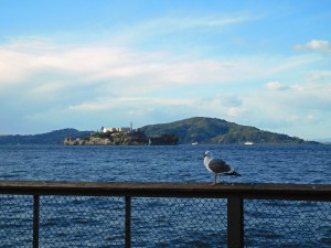 Alcatraz