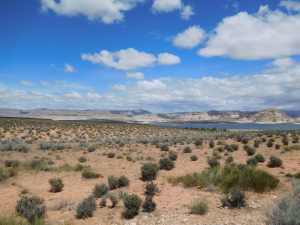 Lake Powell_1