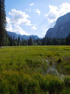 Yosemite_4